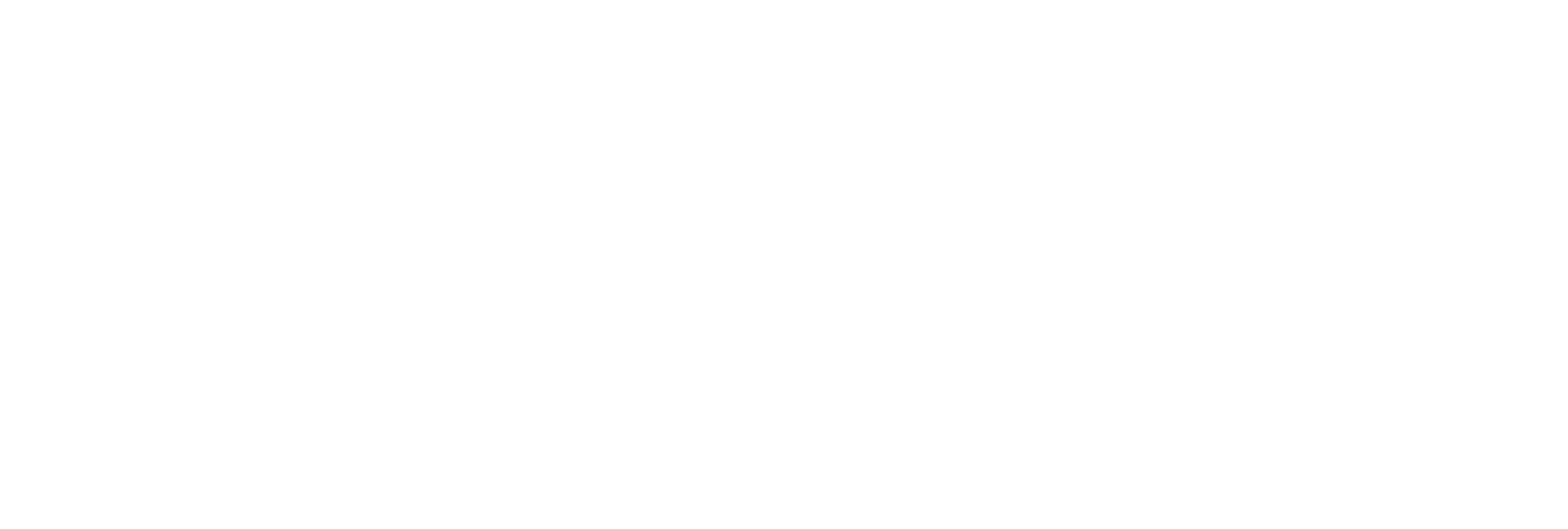 Testolink (IT)